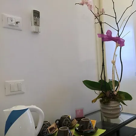 塞拉乌纳沃尔特住宿加早餐旅馆 4*