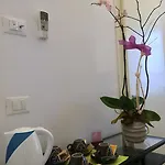 C'era Volta 4*